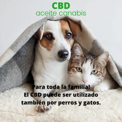 cbd para mascotas